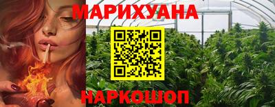 ГАЛЛЮЦИНОГЕННЫЕ ГРИБЫ Кингисепп
