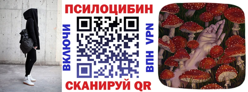 Псилоцибиновые грибы GOLDEN TEACHER  blacksprut как войти  сайты даркнета какой сайт  Можга 