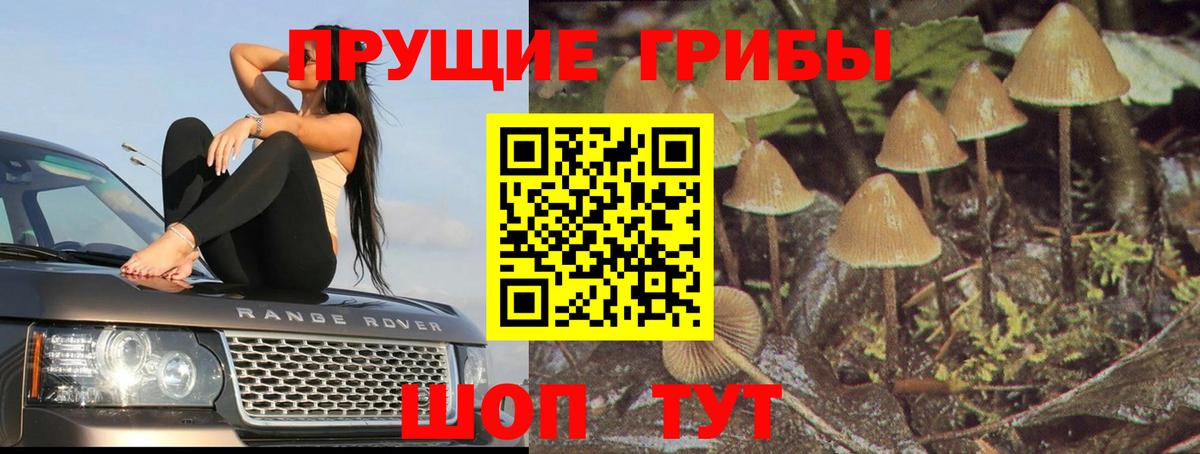 Псилоцибиновые грибы GOLDEN TEACHER  Вход с VPN  Можга 