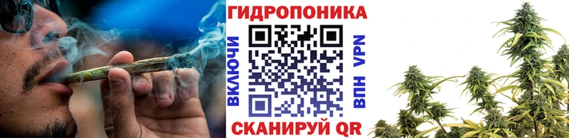 Каннабис Amnesia Можга